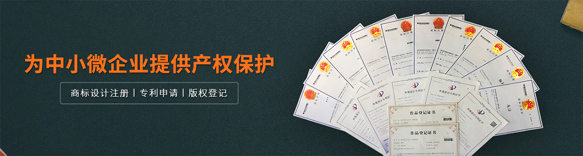 知識產(chǎn)權(quán)保護